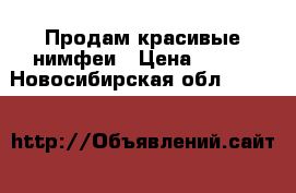 Продам красивые нимфеи › Цена ­ 700 - Новосибирская обл.  »    